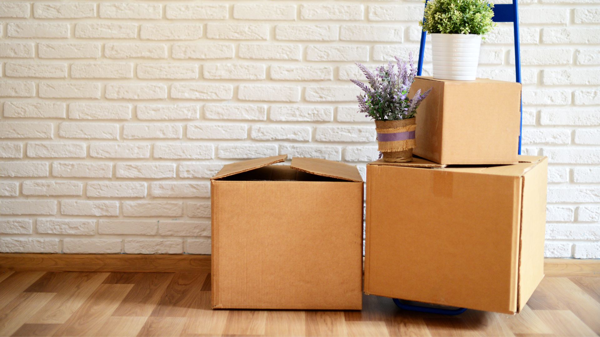 Дачні переїзди